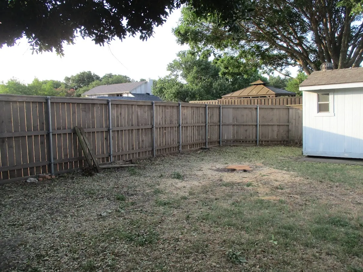Cleared yard after professional tree removal in South Yarmouth